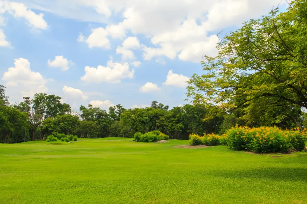 Aménagement paysager à Carlsbourg